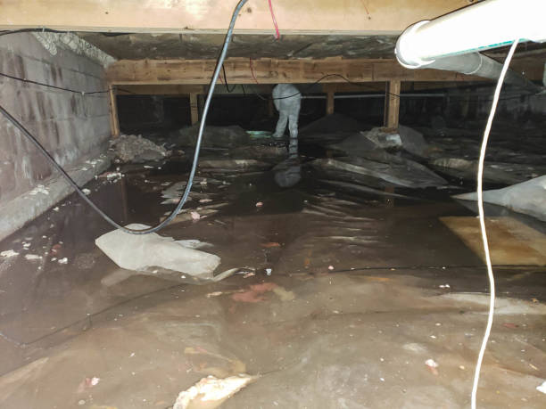 Trusted Lexington, NE Water damage restoration Experts